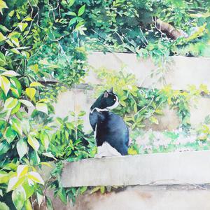 一级香蕉毛片特大毛片
